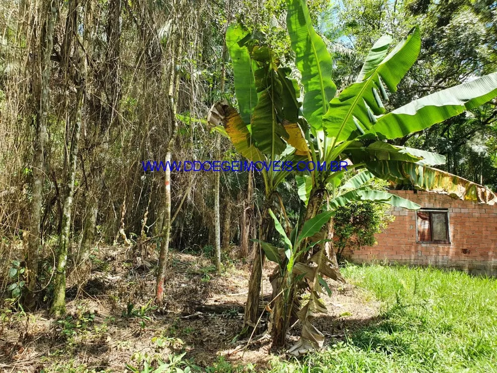 Terreno, 16608 m² - Foto 8