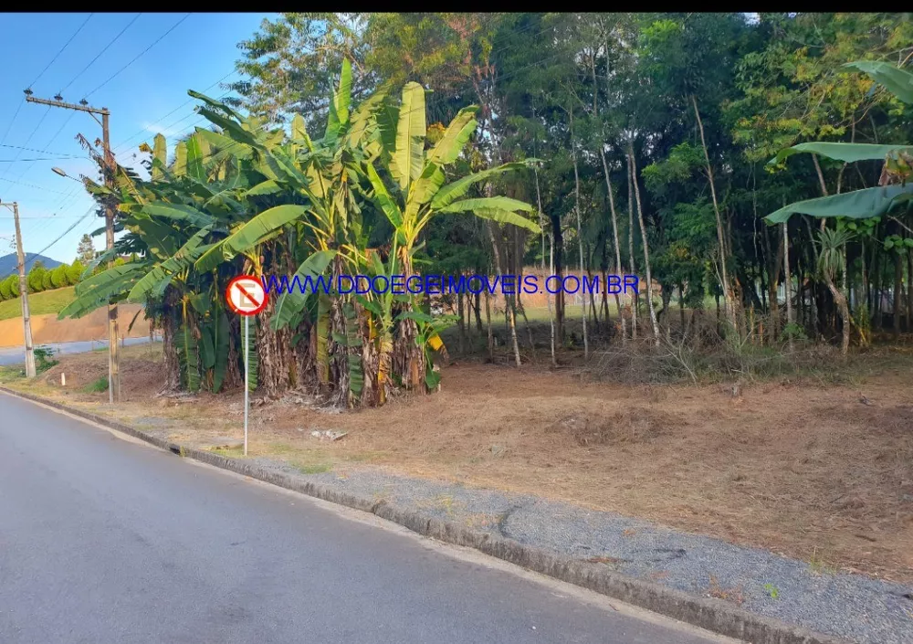 Terreno, 16608 m² - Foto 12