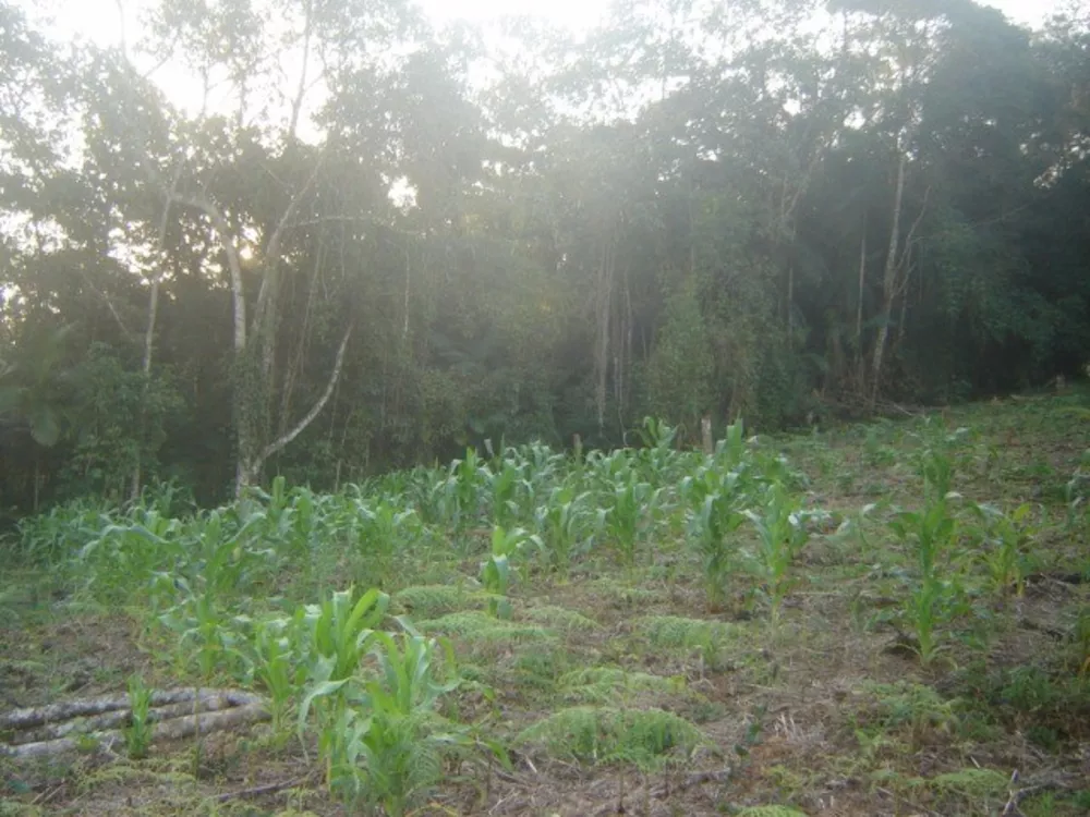 Terreno à venda, 17950m² - Foto 3