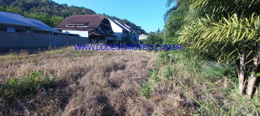 Terreno, 593 m² - Foto 4