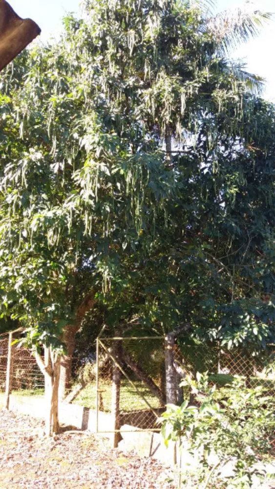 Prédio Inteiro, 199 m² - Foto 4