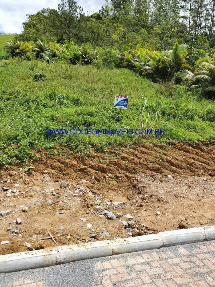 Terreno, 43937 m² - Foto 3