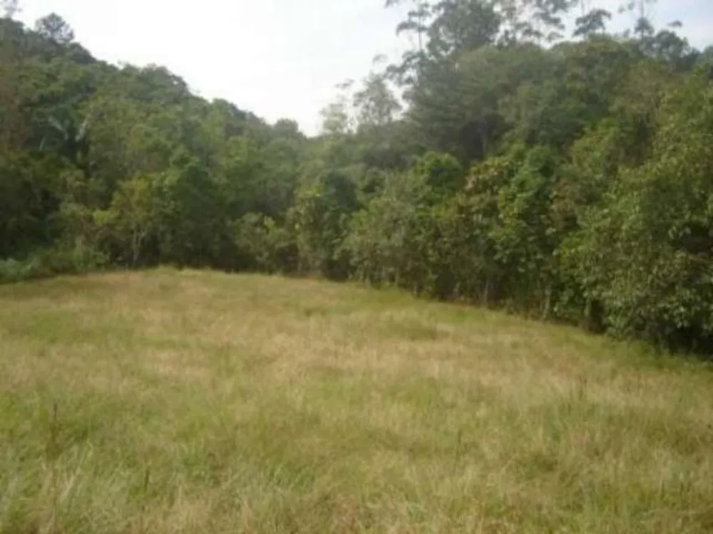 Terreno, 18444 m² - Foto 6