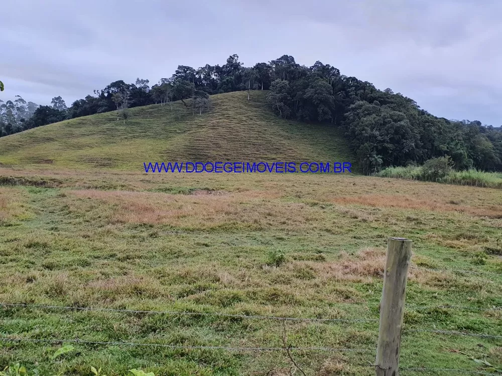 Sítio, 3 quartos, 2 hectares - Foto 3