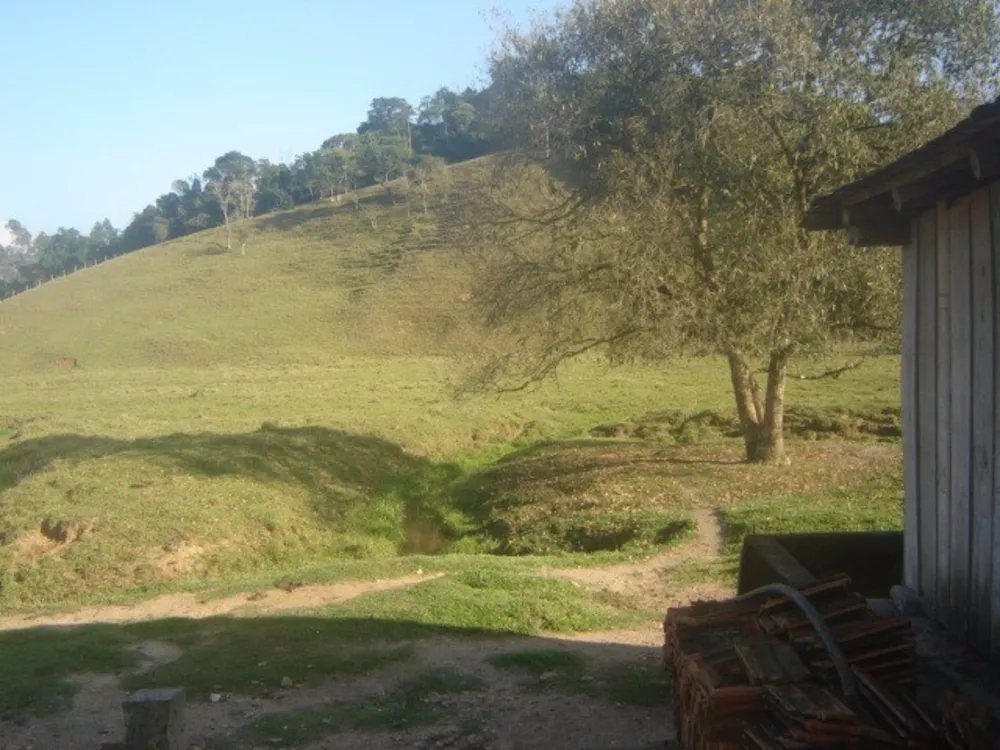 Sítio, 3 quartos, 2 hectares - Foto 4