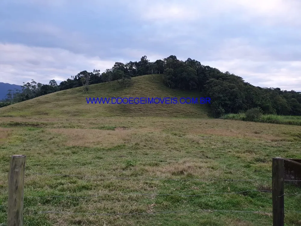 Sítio, 3 quartos, 2 hectares - Foto 8