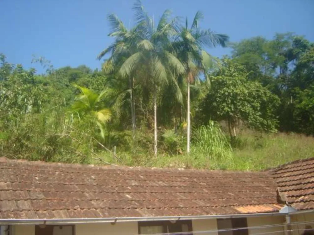 Terreno, 38970 m² - Foto 5