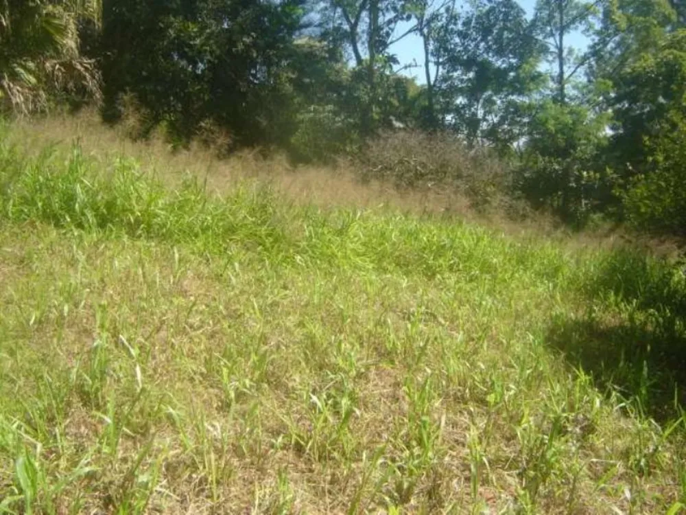 Terreno, 38970 m² - Foto 9