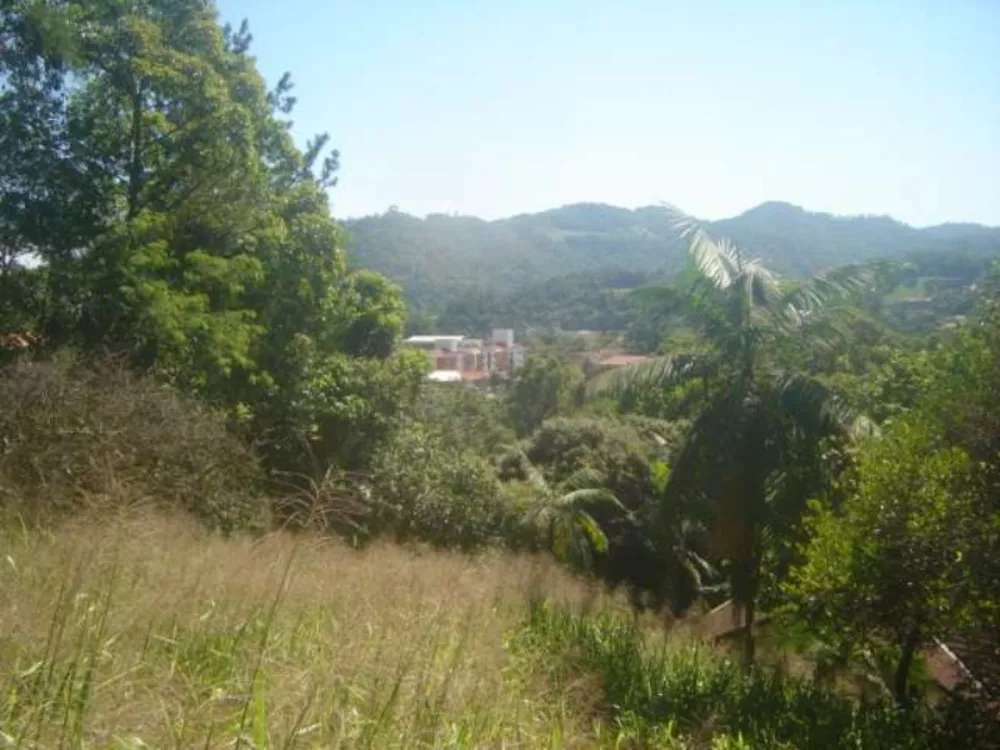 Terreno, 38970 m² - Foto 7