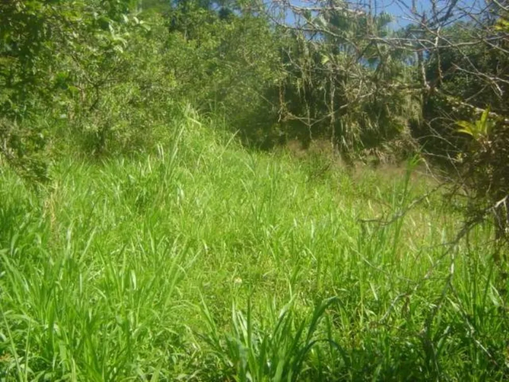 Terreno, 38970 m² - Foto 7