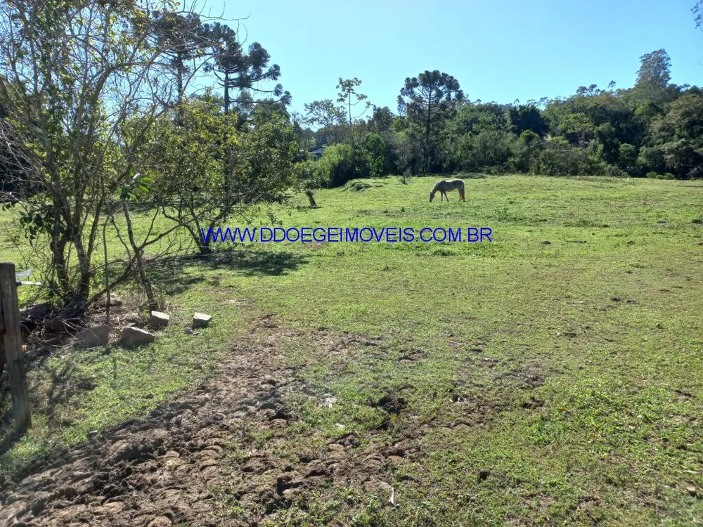 Prédio Inteiro, 15087 m² - Foto 14