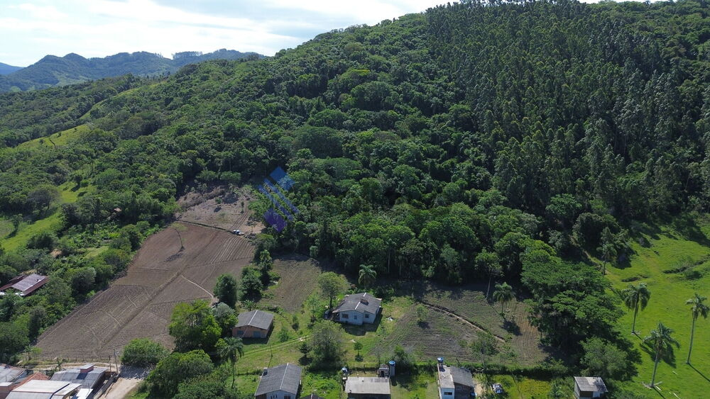 Terreno, 7 hectares - Foto 10