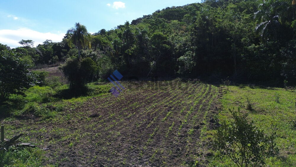 Terreno, 7 hectares - Foto 4