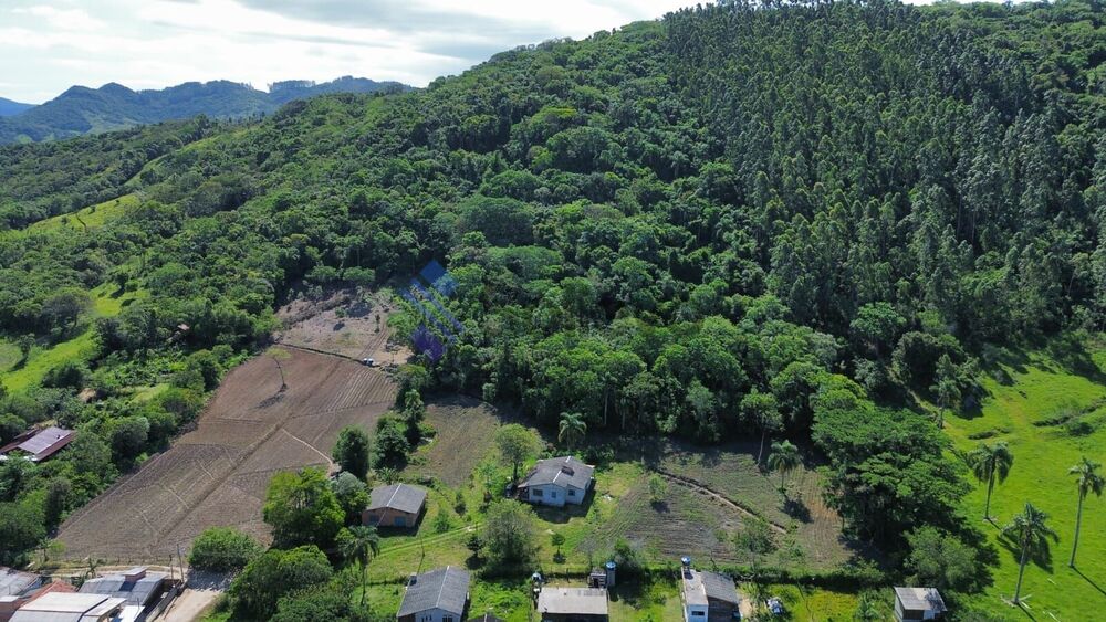 Terreno, 3 hectares - Foto 2