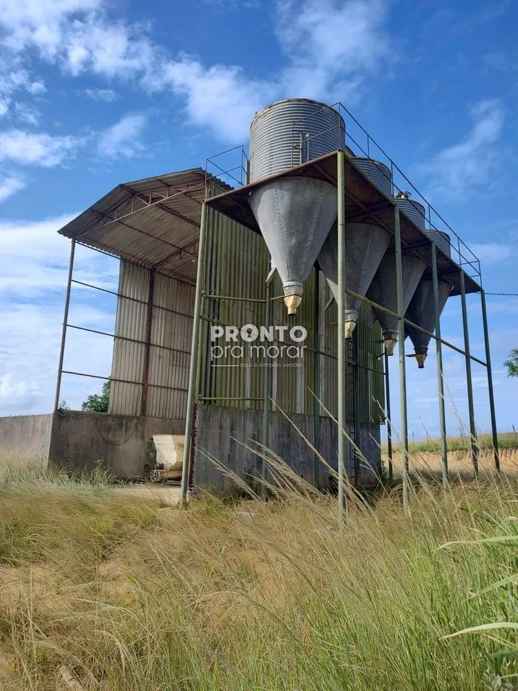 Apartamento, 4 quartos, 265 m² - Foto 5