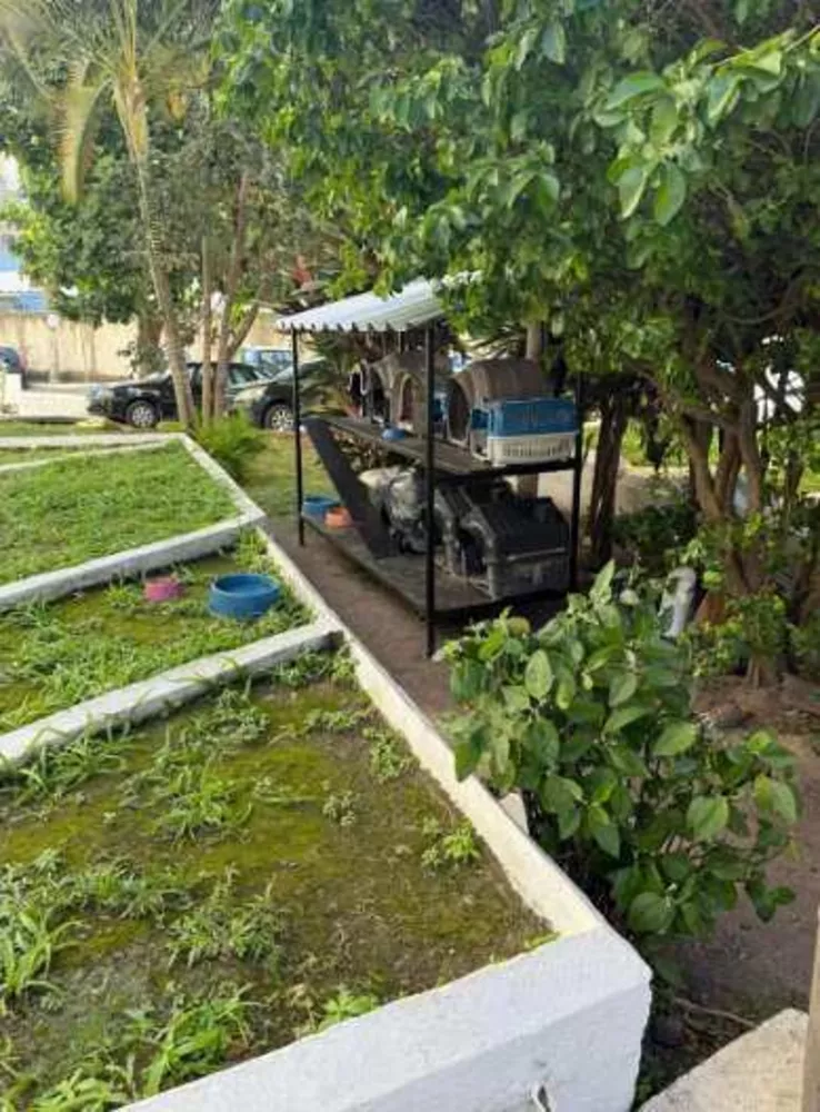 Apartamento, 2 quartos, 61 m² - Foto 5