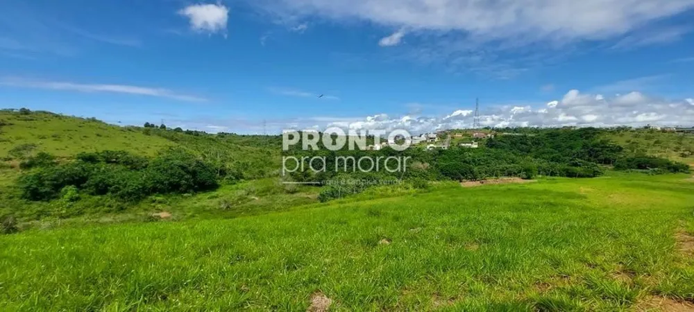 Terreno, 2449 m² - Foto 3
