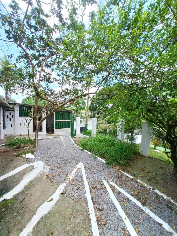 Chácara, 4 quartos - Foto 3