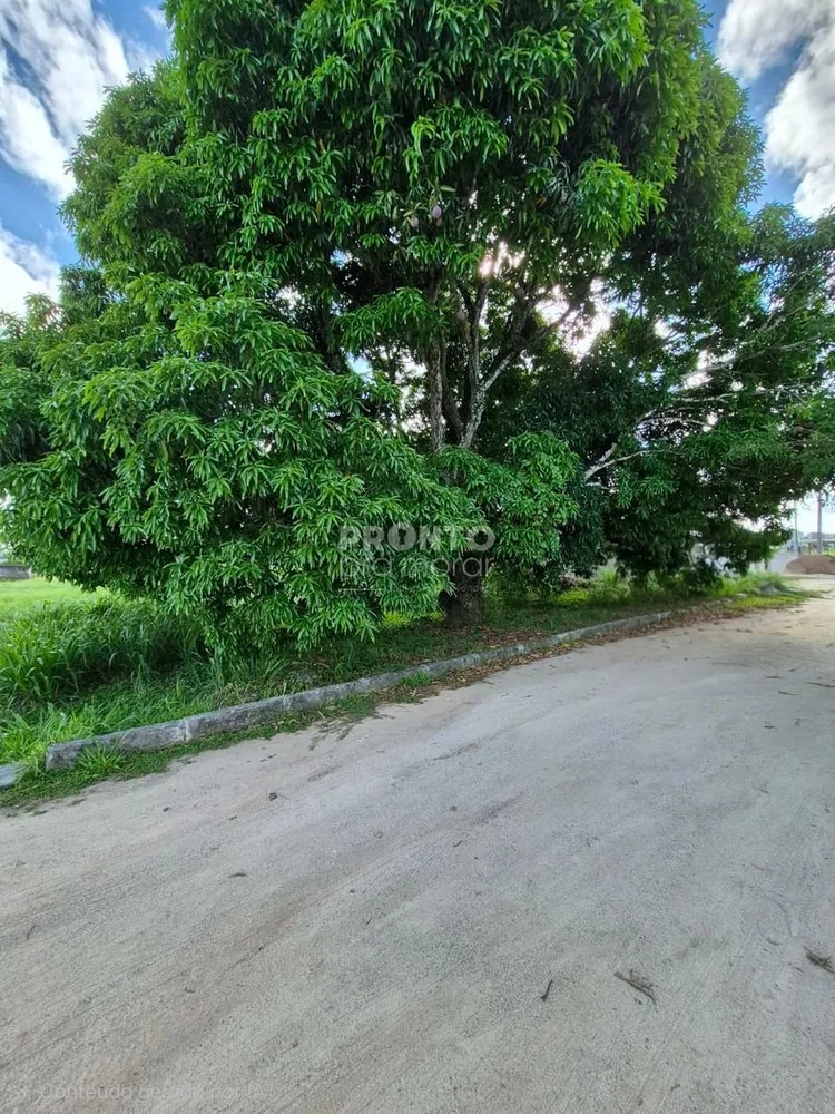 Terreno, 750 m² - Foto 4