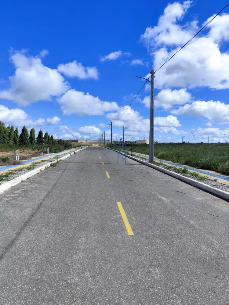 Terreno, 250 m² - Foto 3