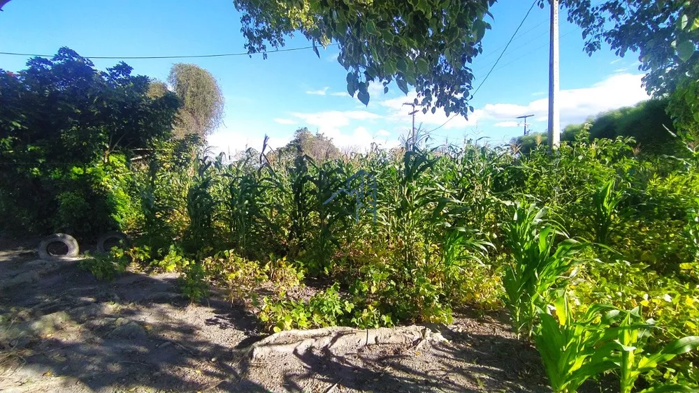 Chácara, 1 hectares - Foto 9