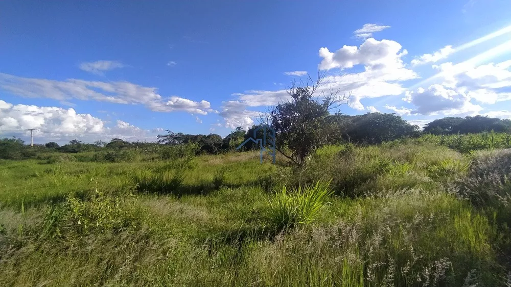 Chácara, 1 hectares - Foto 7