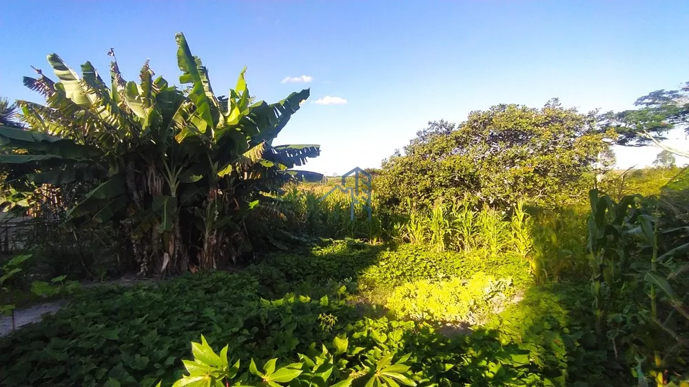 Chácara, 1 hectares - Foto 8