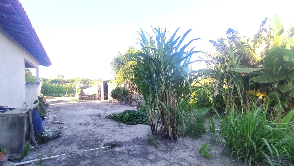 Chácara, 1 hectares - Foto 3