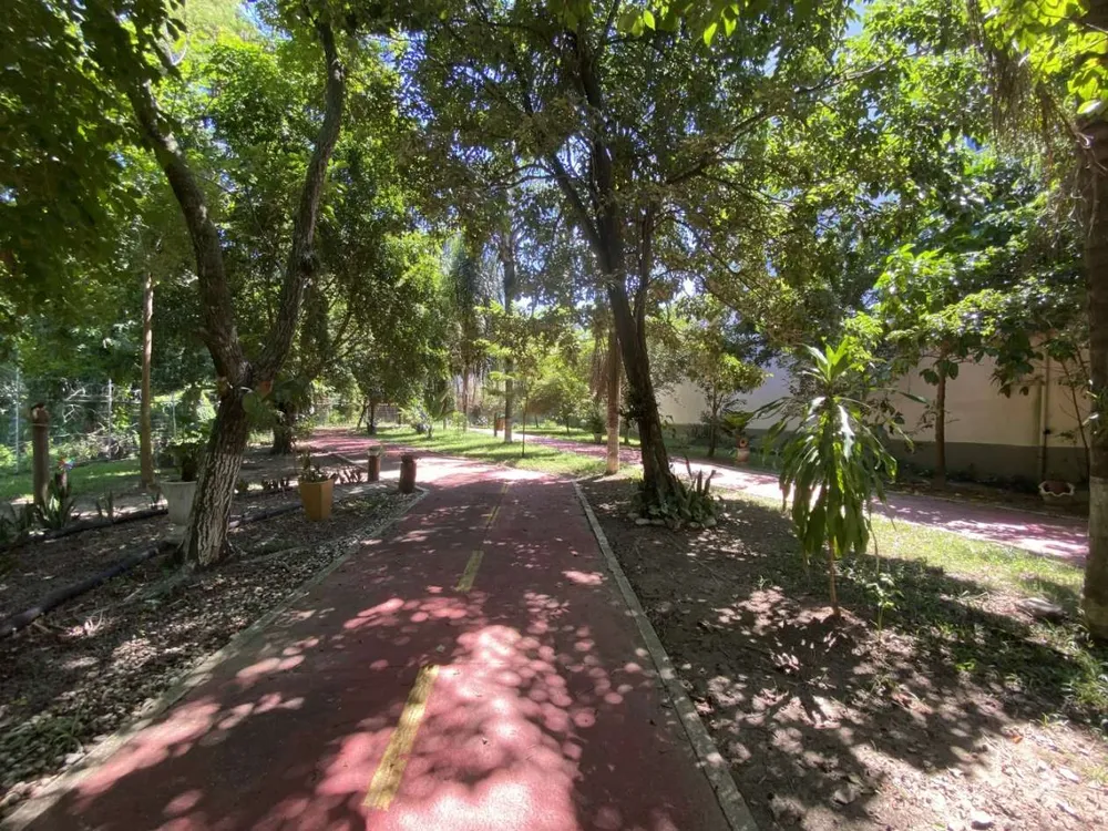 Apartamento, 3 quartos, 70 m² - Foto 23