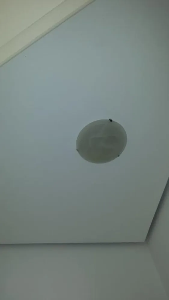 Prédio Inteiro, 400 m² - Foto 1