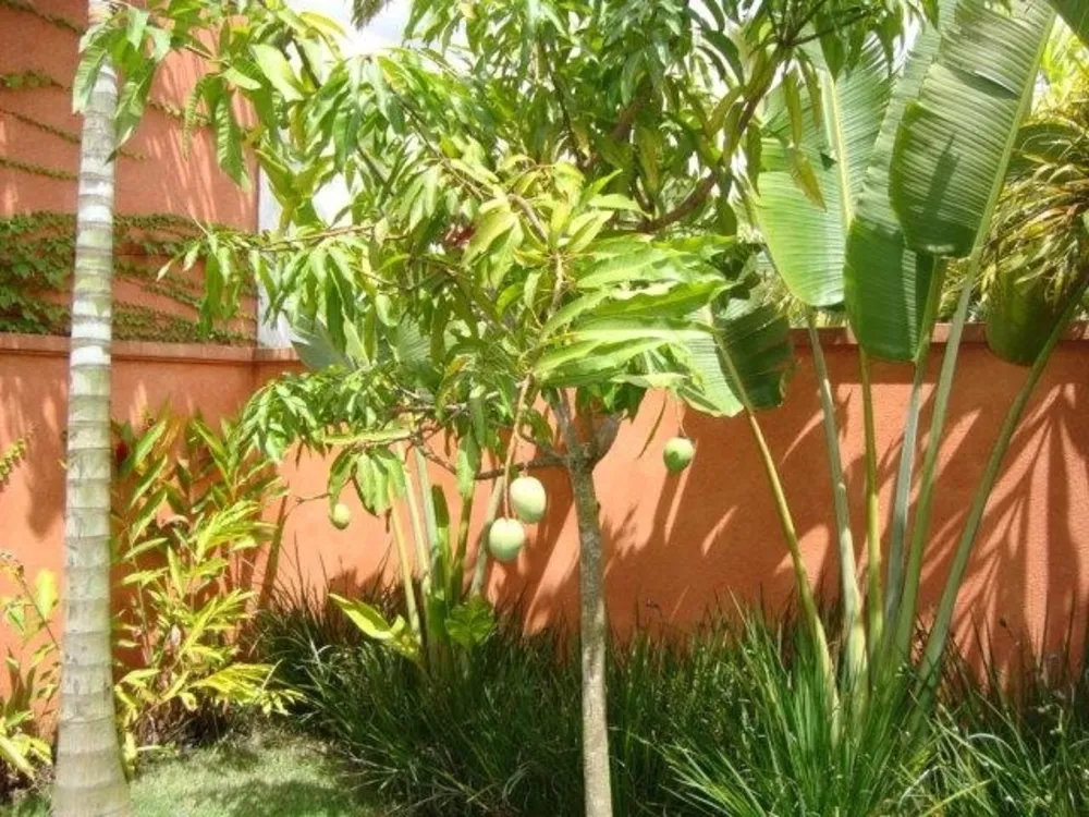 Casa, 485 m² - Foto 11