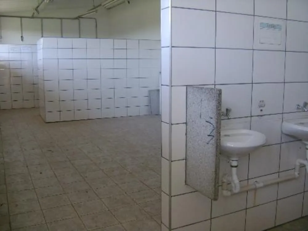 Depósito-Galpão, 3100 m² - Foto 4