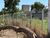 Terreno, 516 m² - Foto 3