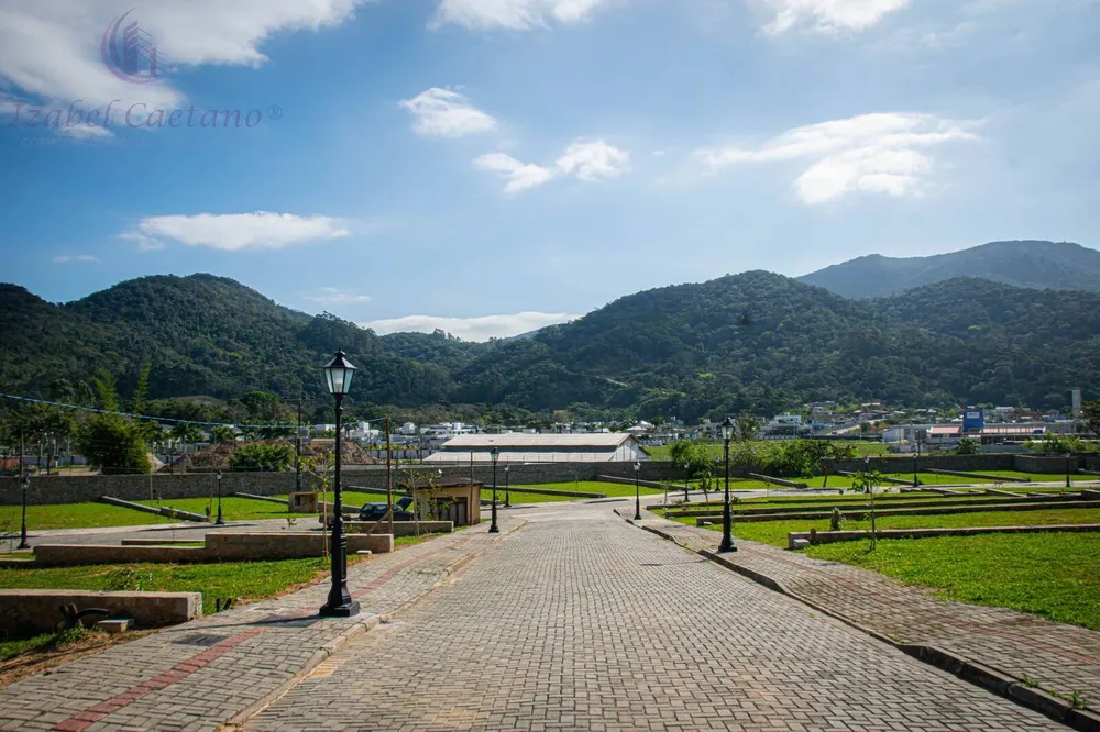 Terreno, 607 hectares - Foto 3