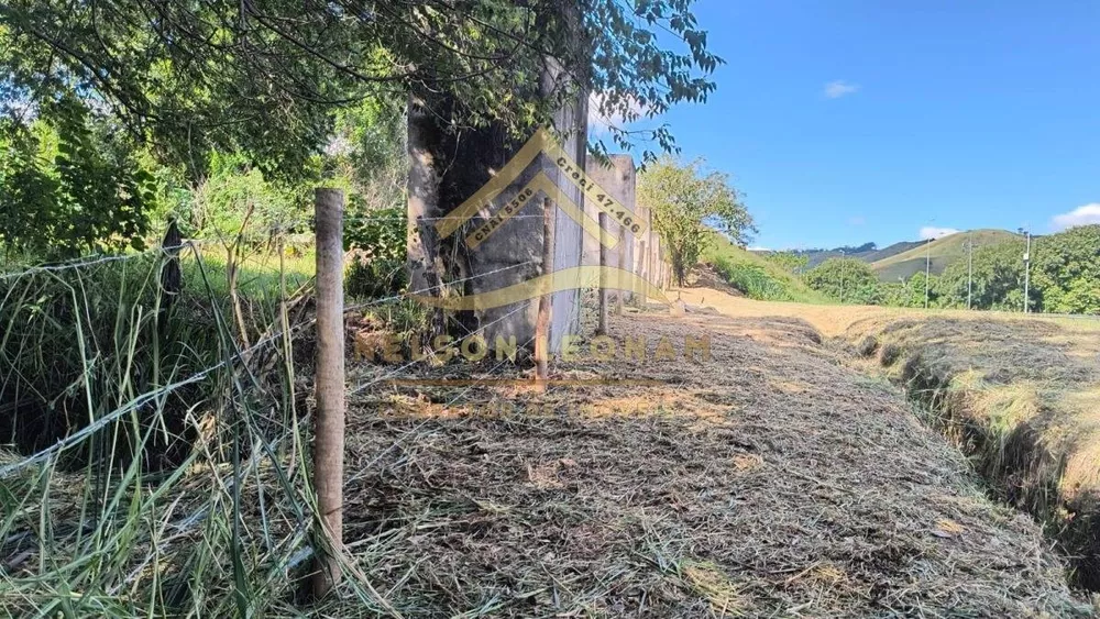 Terreno, 3 hectares - Foto 8