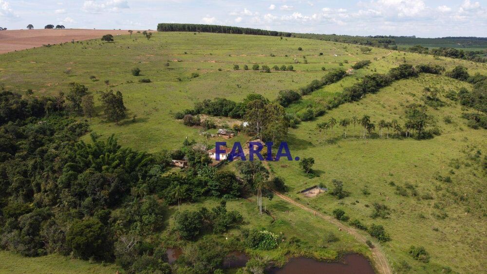 Terreno, 126 hectares - Foto 4