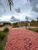 Terreno, 300 m² - Foto 4