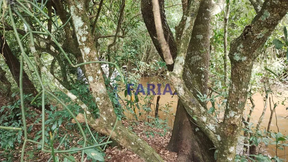 Sítio, 64 hectares - Foto 13