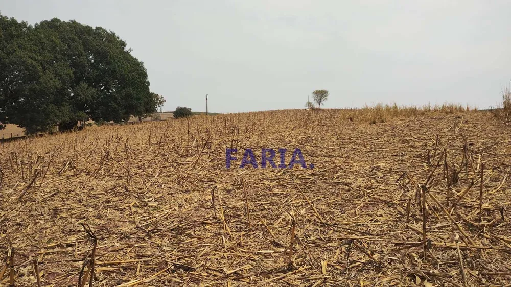 Sítio, 64 hectares - Foto 4