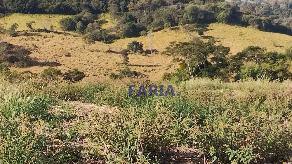 Sítio, 64 hectares - Foto 7