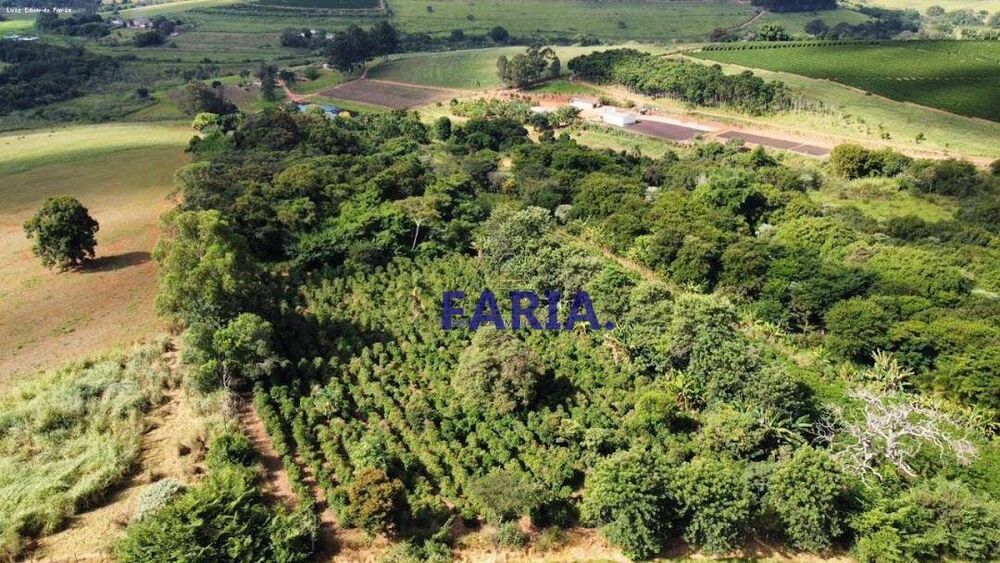 Chácara, 4 quartos, 8 hectares - Foto 8
