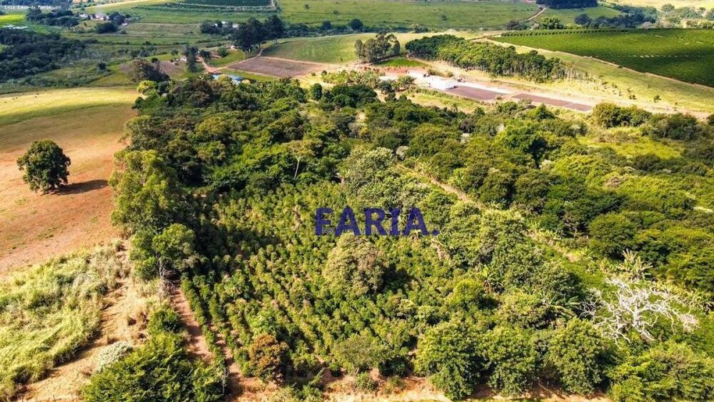 Chácara, 4 quartos, 8 hectares - Foto 9