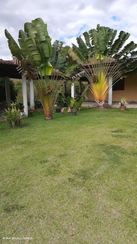 Sítio, 3 quartos, 3000 m² - Foto 16