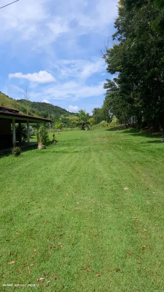 Sítio, 3 quartos, 3000 m² - Foto 6