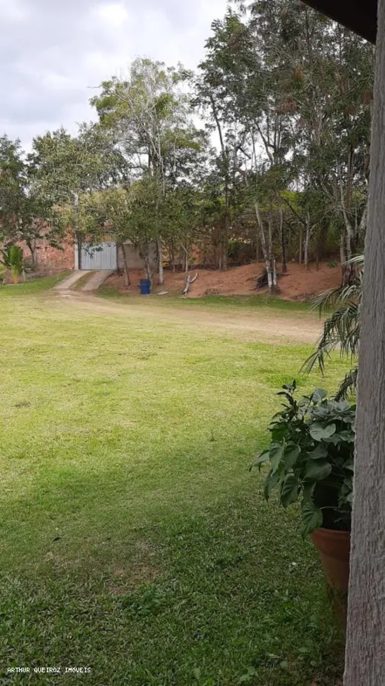 Sítio, 3 quartos, 3000 m² - Foto 7