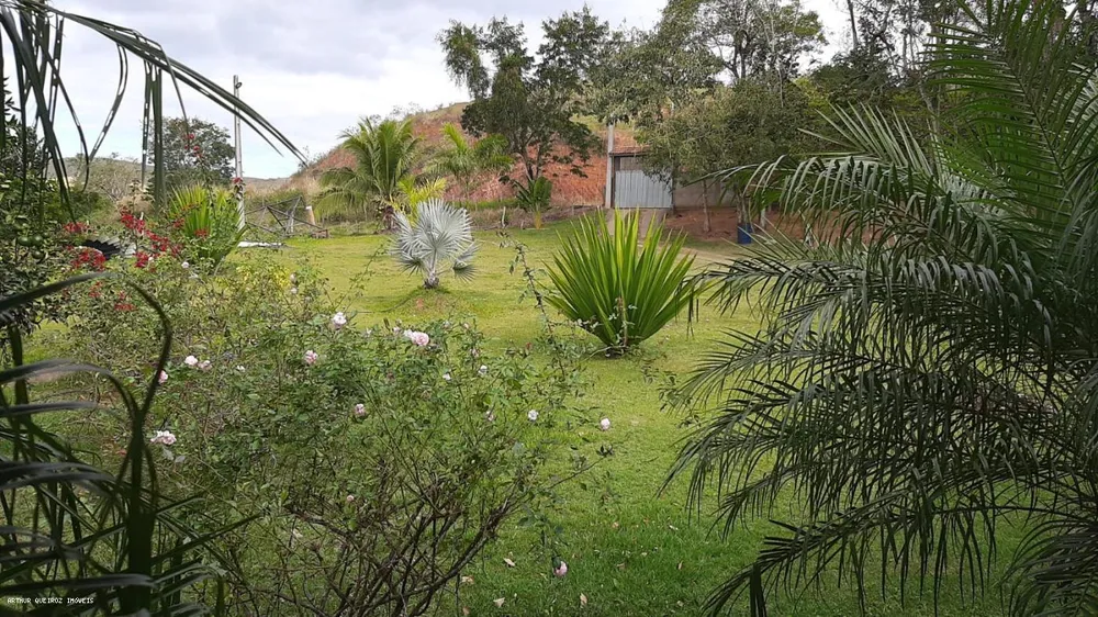 Sítio, 3 quartos, 3000 m² - Foto 3