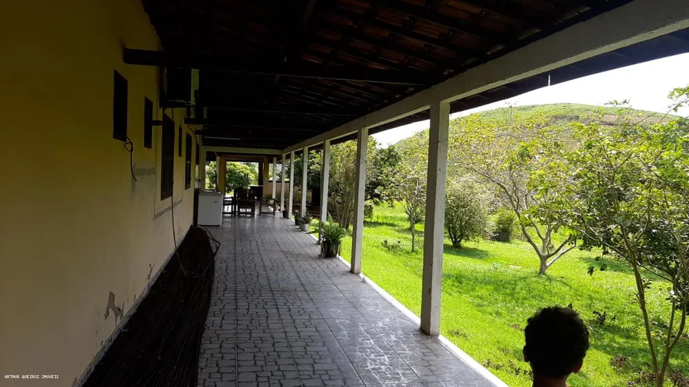 Sítio, 3 quartos, 3000 m² - Foto 8