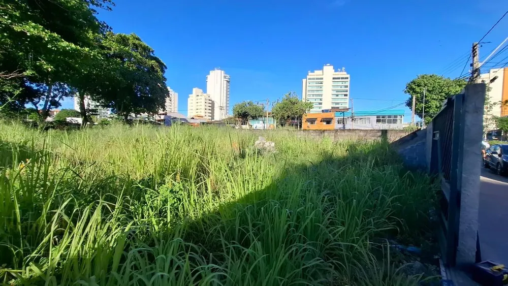 Terreno - Foto 2