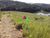 Terreno, 1000 m² - Foto 4