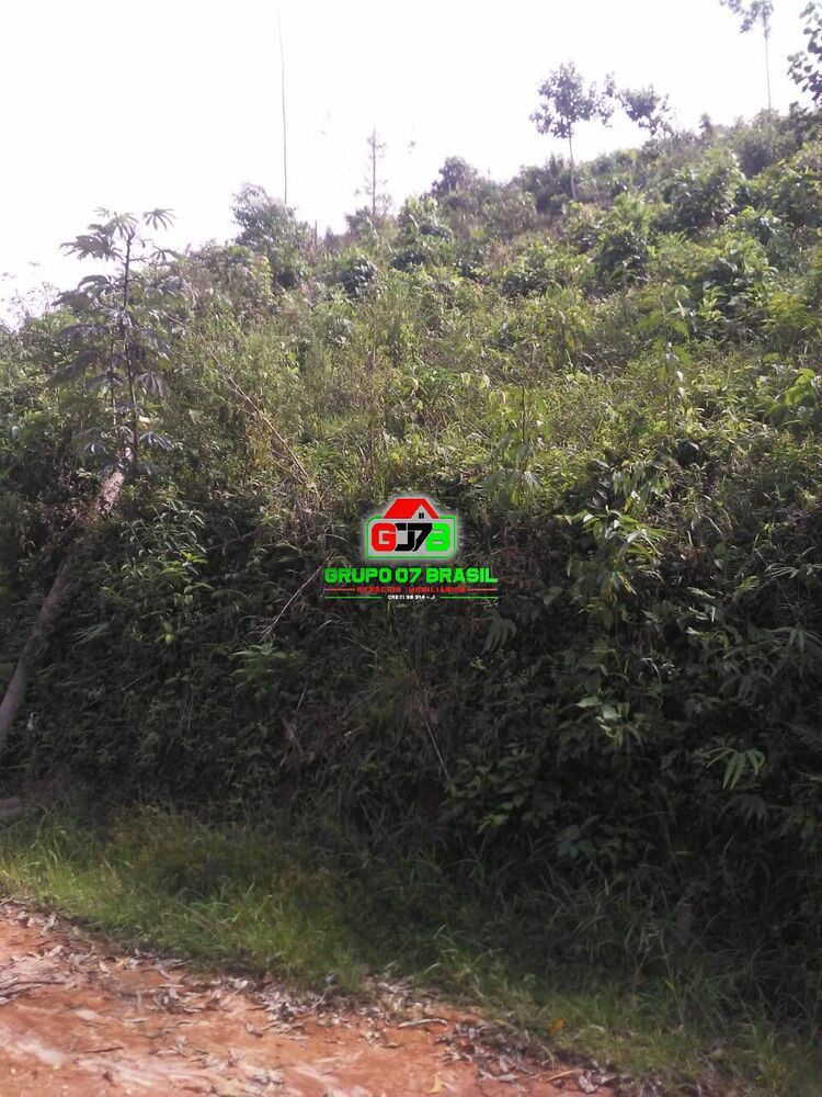 Chácara à venda com 1 quarto, 100m² - Foto 2